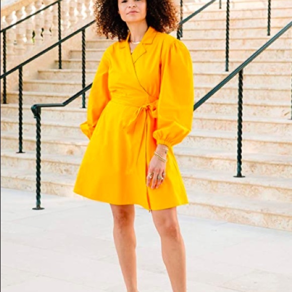 NWT Saffron Balloon-sleeve Wrap Mini Dress - Picture 1 of 3
